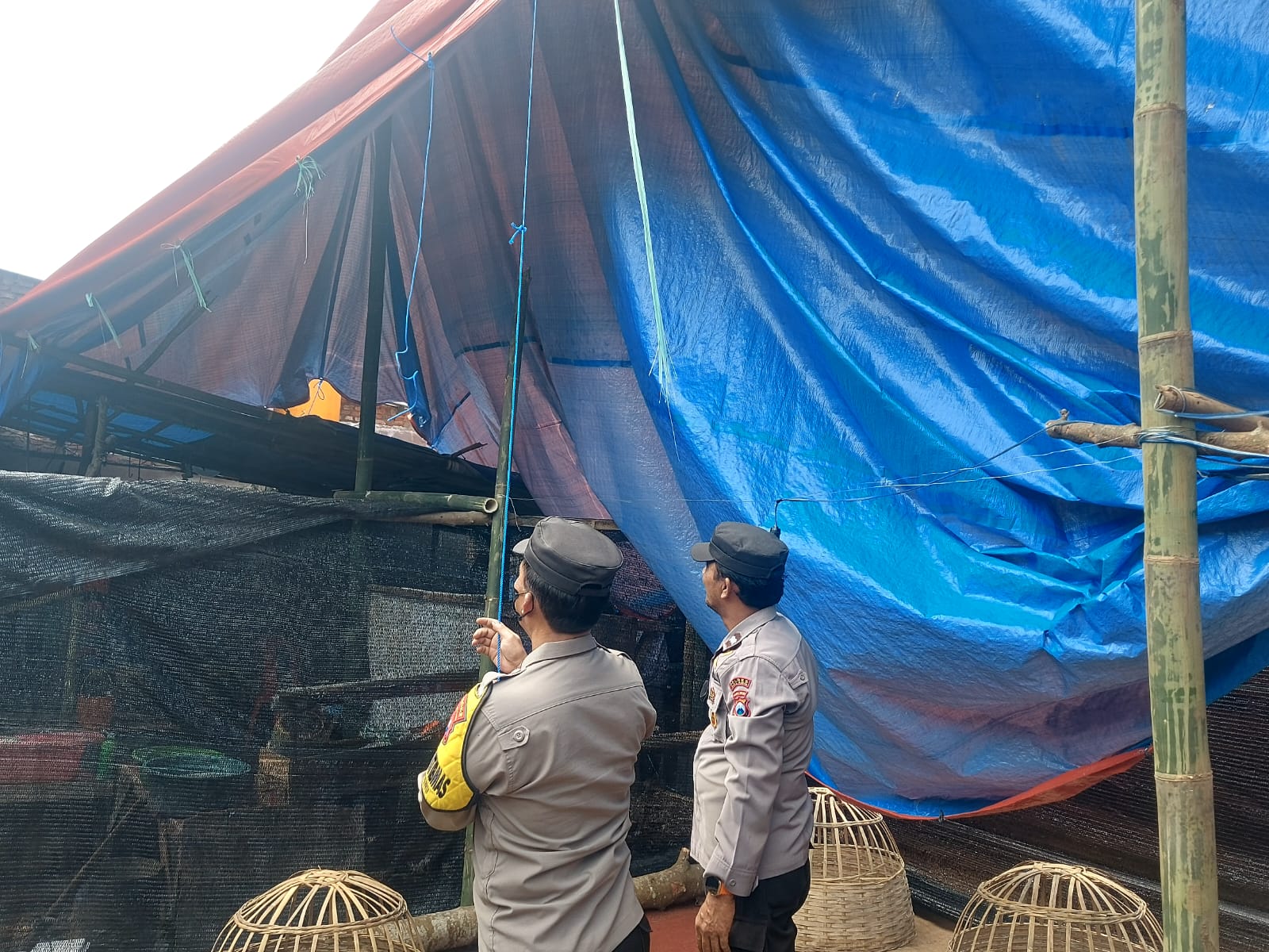 Polisi Bongkar Arena Dugaan Sabung Ayam di Pakisaji Malang