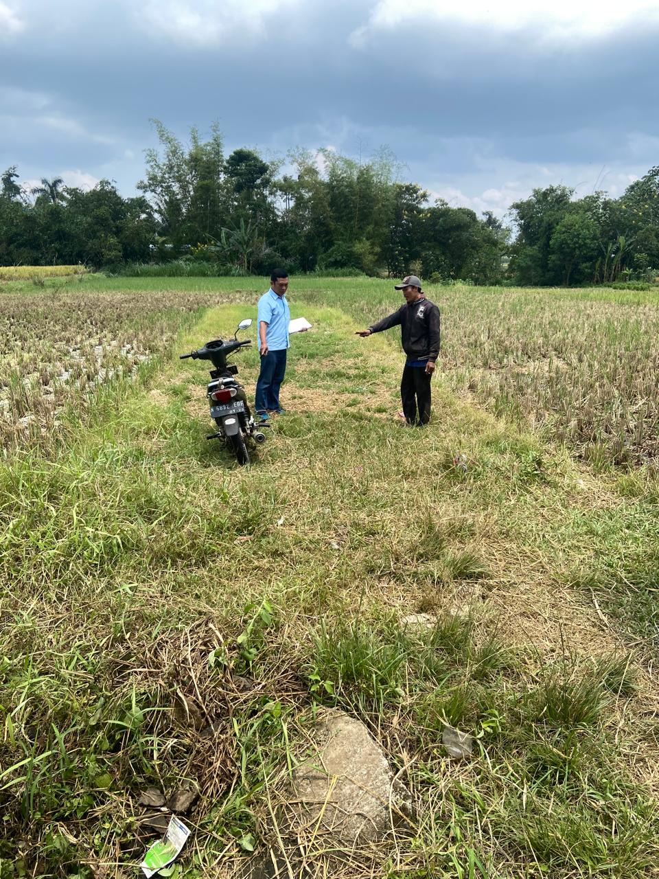 Polisi Ungkap Curanmor di Sawah Singosari, Pelaku Perempuan Diamankan