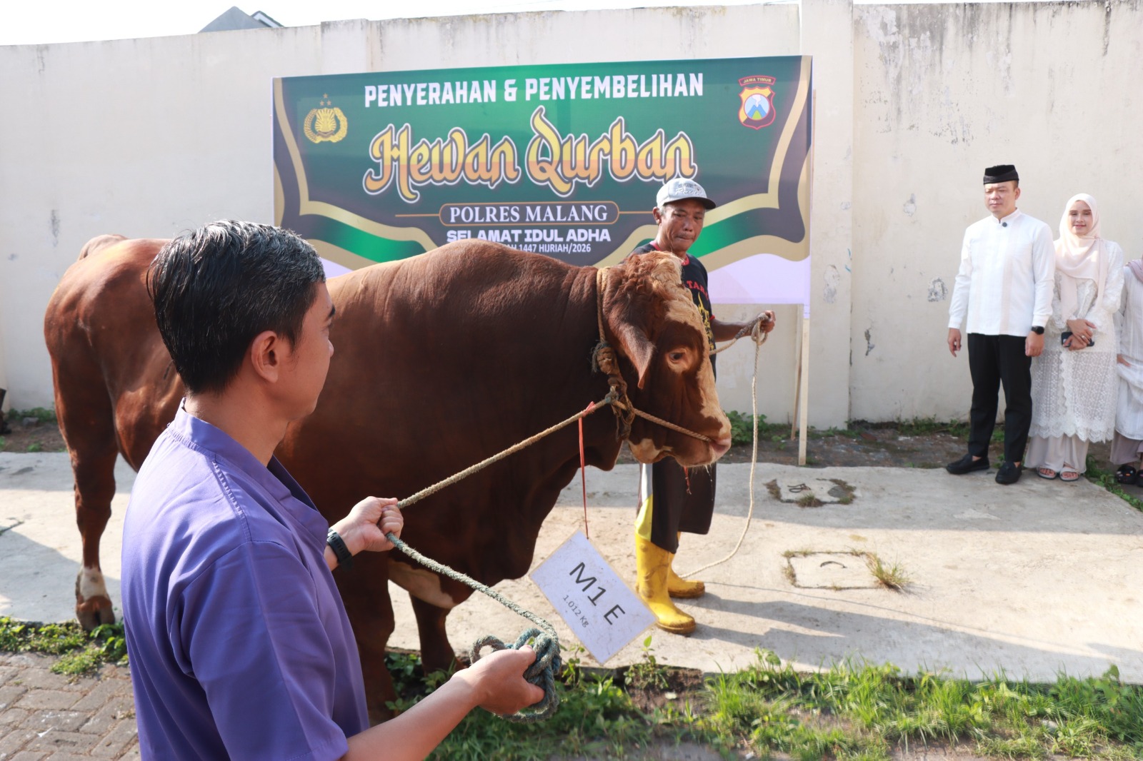 Polres Malang Kurban 22 Sapi dan 73 Kambing, Daging Dibagikan ke Warga hingga Ponpes