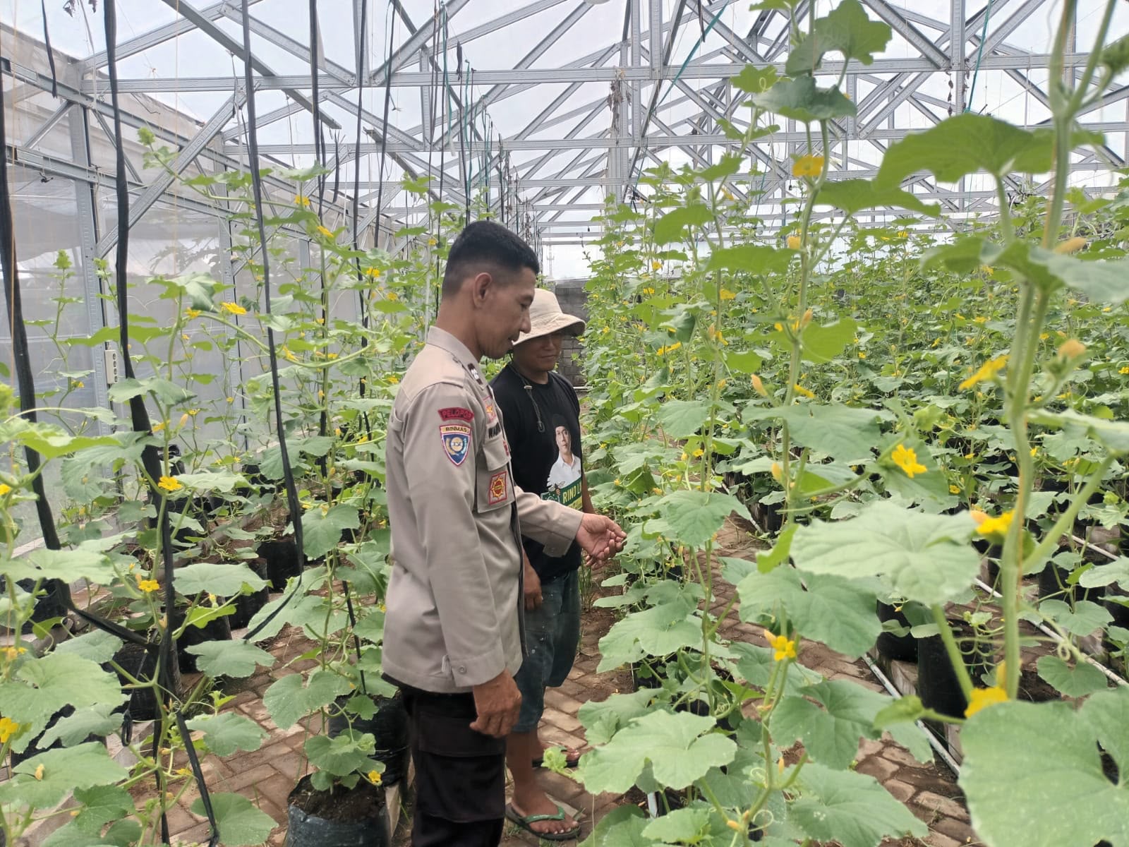 Polres Malang Dorong Kemandirian Pangan Melalui Program Pekarangan Pangan Lestari