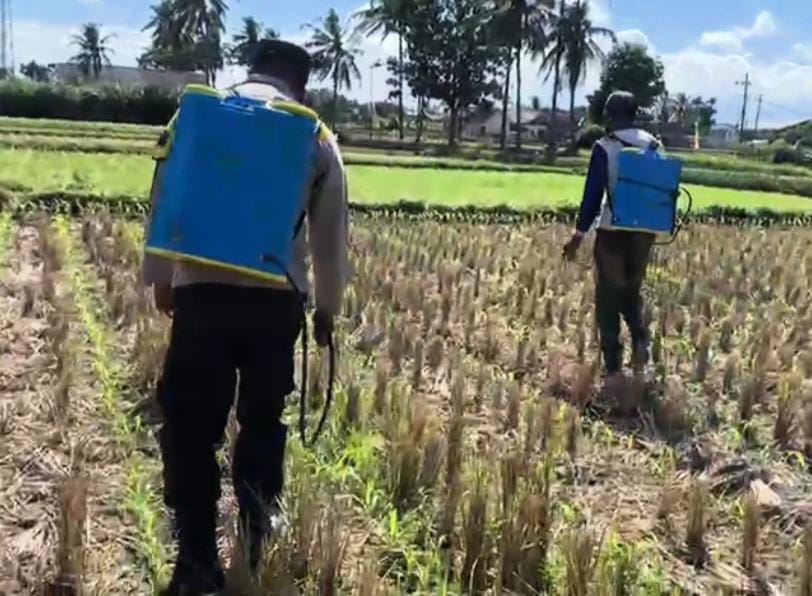 Polres Malang Dorong Produktivitas Warga melalui Program Ketahanan Pangan