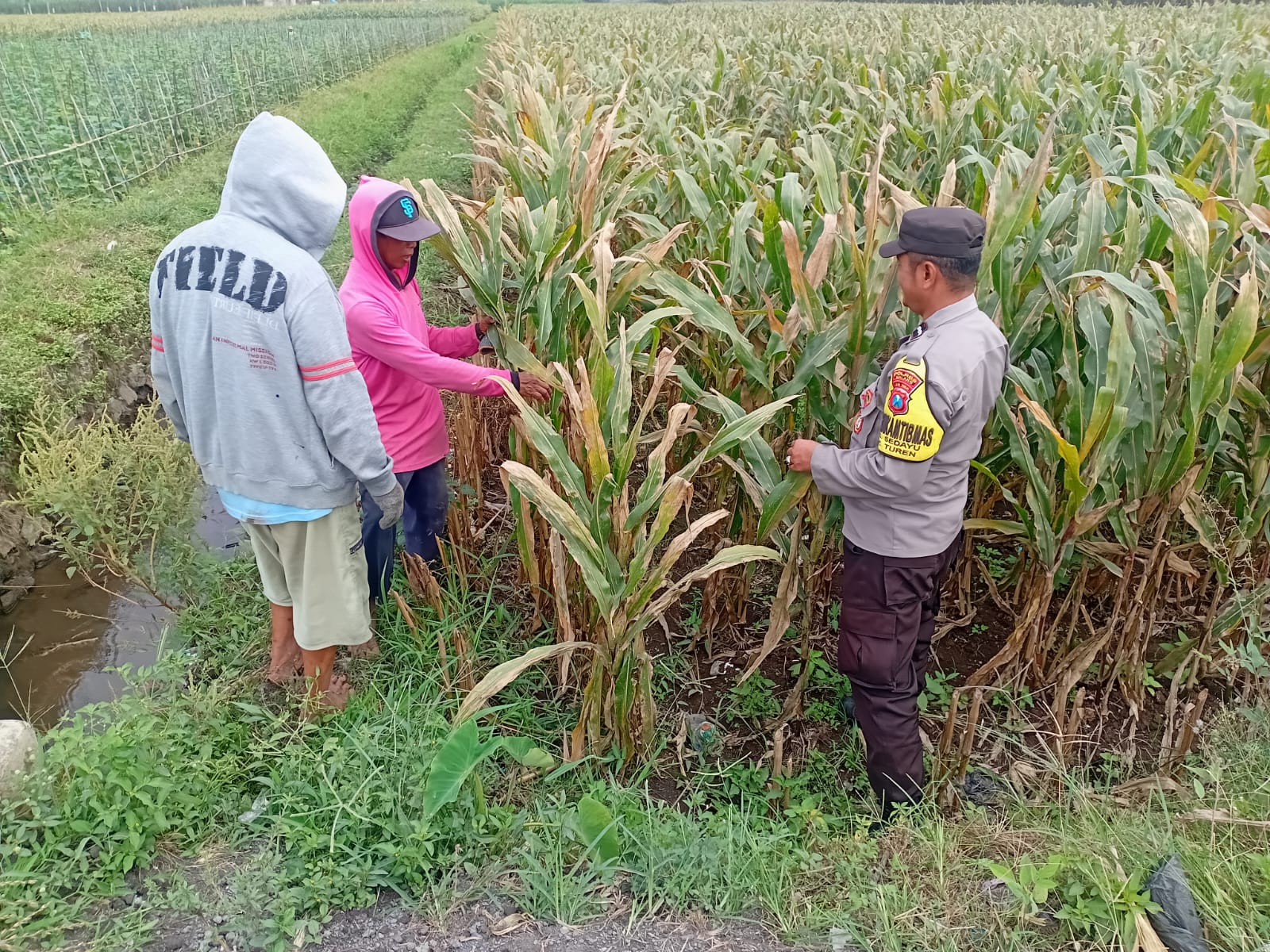 Polres Malang Perkuat Budaya Kemandirian Pangan melalui Pendampingan Masyarakat