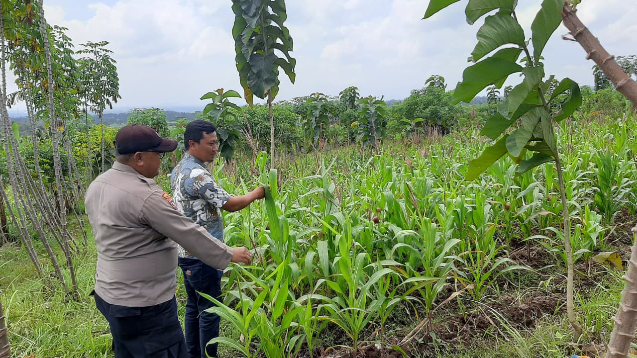 Polres Malang Ajak Masyarakat Bangun Kemandirian Pangan dari Lingkungan Sekitar