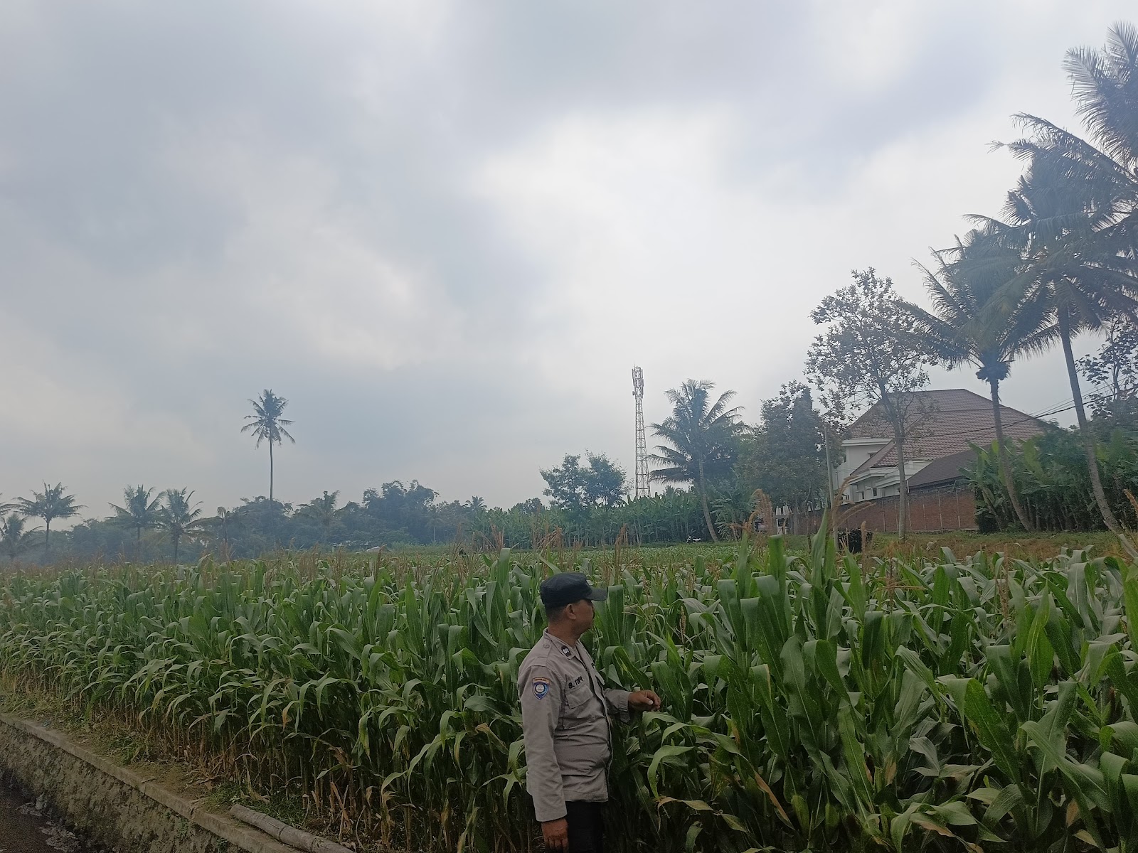 Polres Malang Dorong Produksi Pangan Berkelanjutan demi Perkuat Kemandirian Desa