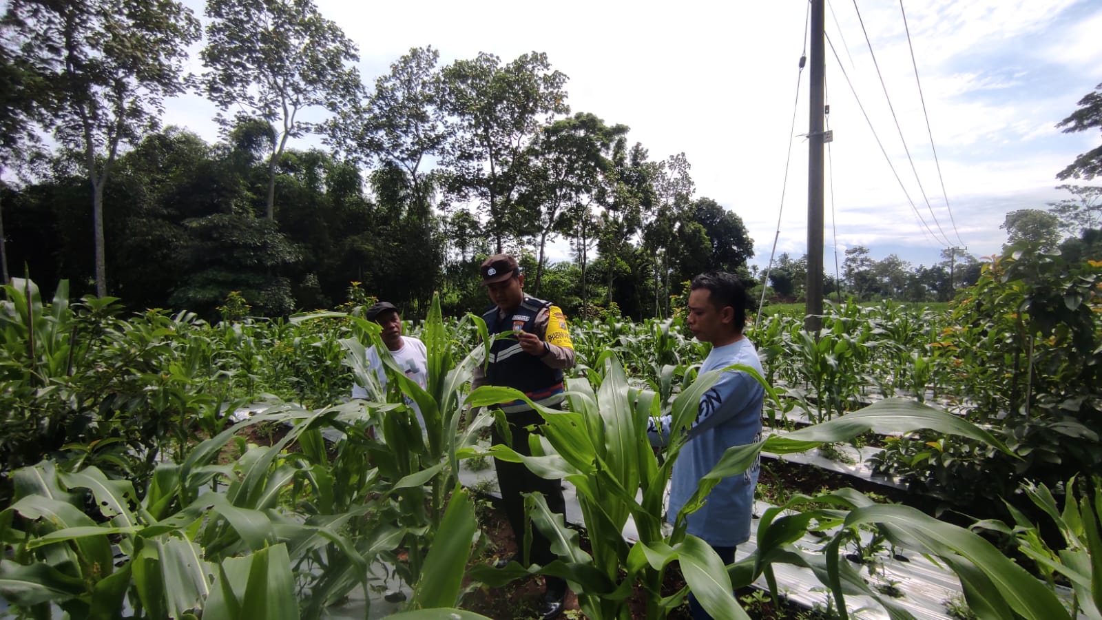Polres Malang Ajak Masyarakat Bangun Budaya Menanam untuk Dukung Ketahanan Pangan