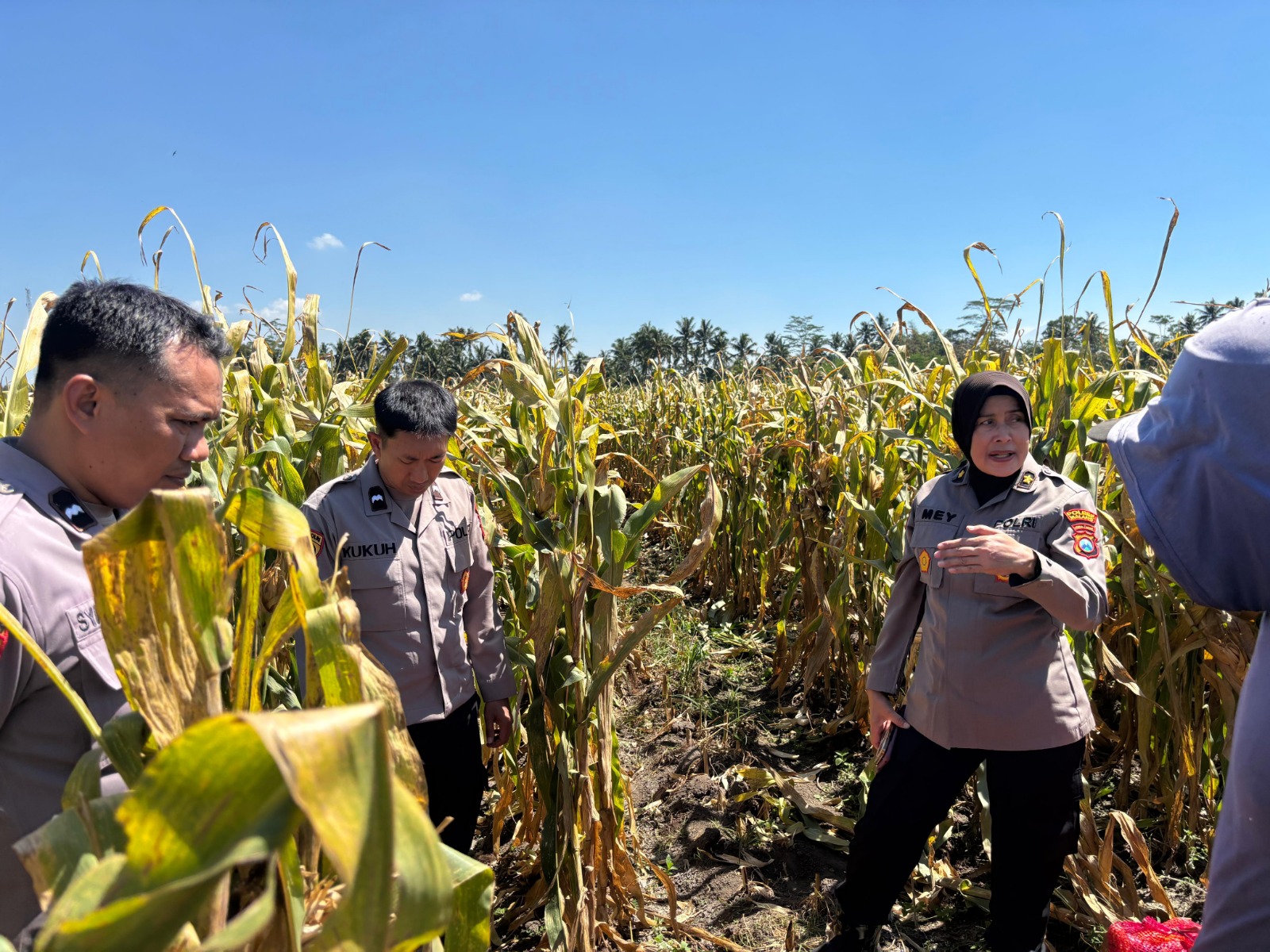 Polres Malang Dorong Desa Produktif Jadi Pilar Ketahanan Pangan Nasional