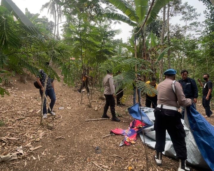 Polisi Bongkar dan Bakar Sisa Lokasi Sabung Ayam di Pakisaji Malang
