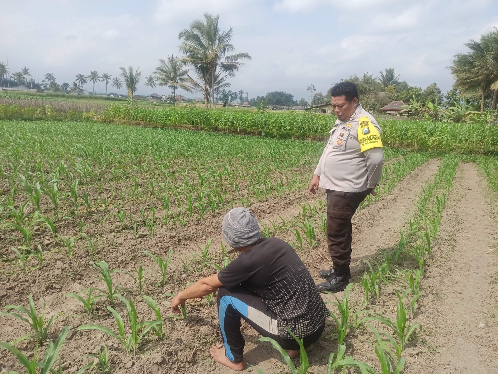 Polres Malang Kawal Hasil Pertanian untuk Dukung Ketahanan Pang