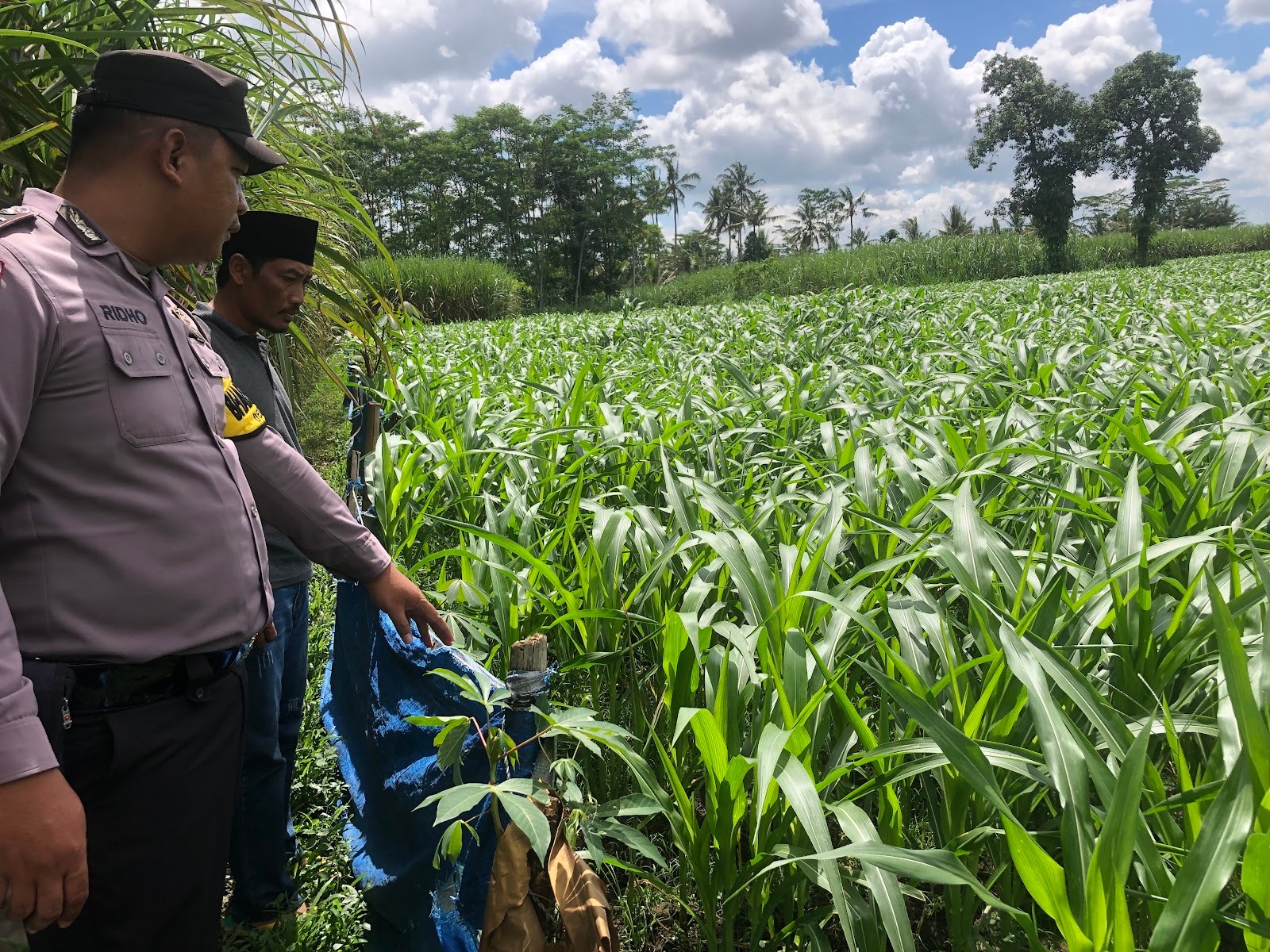 Polres Malang Libatkan Polisi di Desa untuk Dukung Ketahanan Pangan
