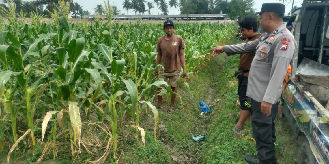 Polres Malang Jaga Ketahanan Pangan agar Terus Berkelanjutan