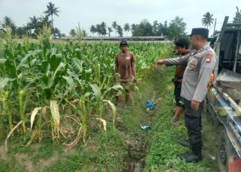 Polres Malang Jaga Ketahanan Pangan agar Terus Berkelanjutan