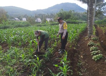 Polres Malang Perkuat Kolaborasi Polisi dan Warga di Sektor Pangan