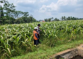 Polres Malang Ajak Warga Manfaatkan Lahan yang Masih Bisa Digarap