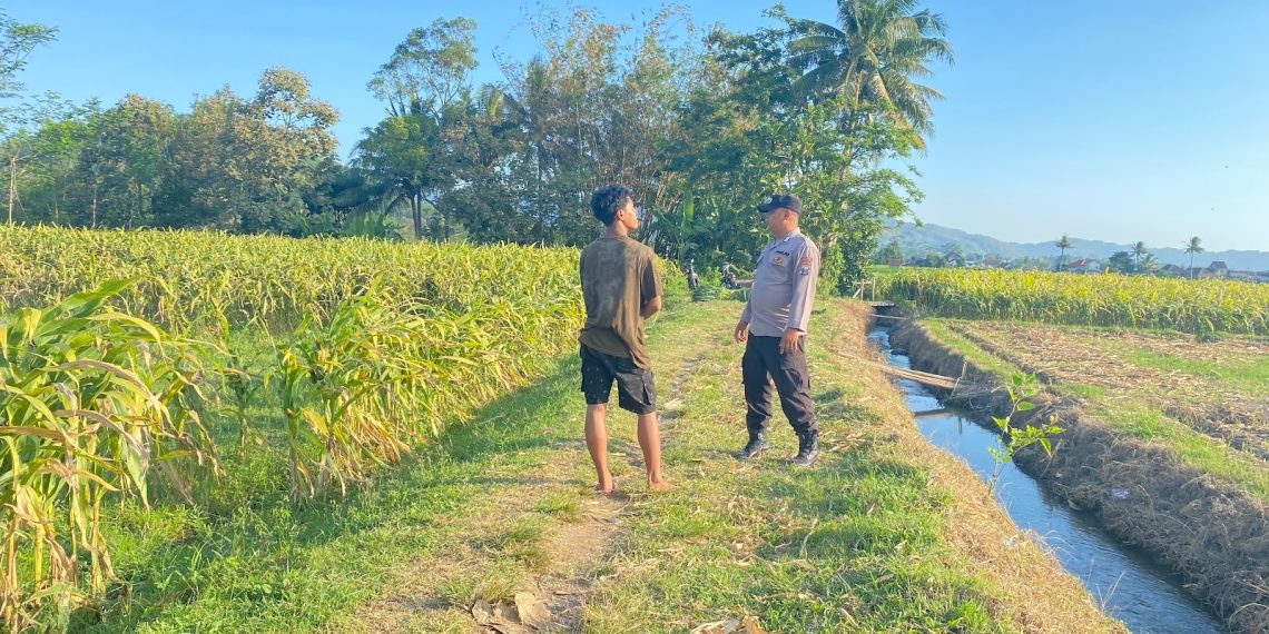 Polisi Ikut Awasi Aktivitas Pertanian Warga di Kabupaten Malang