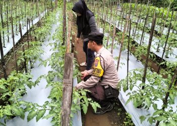 Polres Malang Libatkan Banyak Unsur untuk Dukung Rantai Pangan