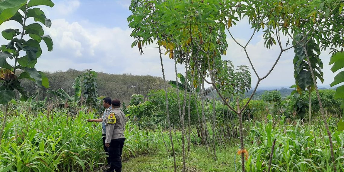 Polres Malang Pantau Pemanfaatan Lahan Warga untuk Dukung Ketahanan Pangan