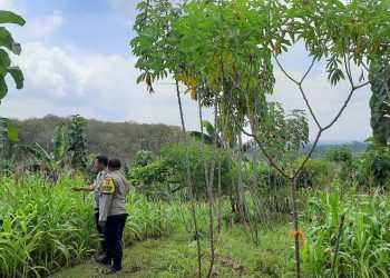 Polres Malang Pantau Pemanfaatan Lahan Warga untuk Dukung Ketahanan Pangan