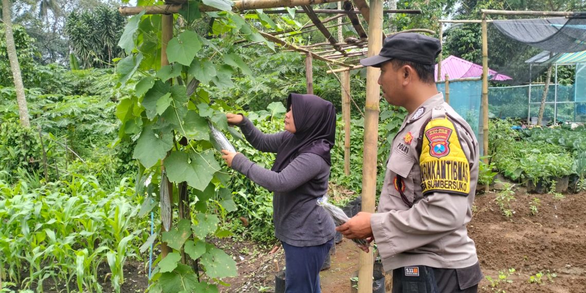 Polres Malang Perkuat Ketahanan Pangan Berbasis Masyarakat Desa