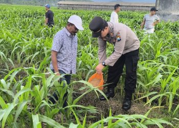 Polres Malang Ajak Warga Jaga Potensi Pangan dari Tingkat Desa