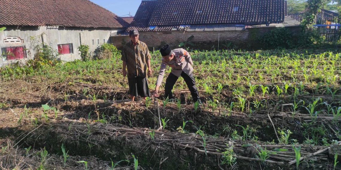 Polisi Kawal Lahan Produktif Warga, Polres Malang Dukung Ketahanan Pangan