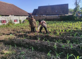 Polisi Kawal Lahan Produktif Warga, Polres Malang Dukung Ketahanan Pangan