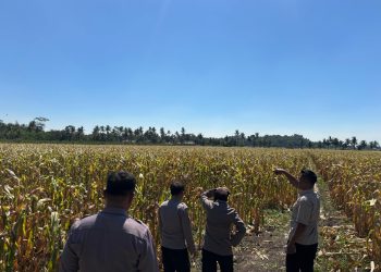 Jaga Pasokan Pangan, Polisi Dorong Lahan Desa Tetap Produktif