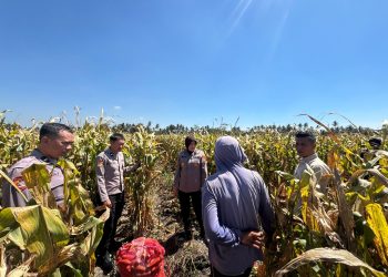 Polres Malang Dukung Produktivitas Petani, Ketahanan Pangan Diperkuat