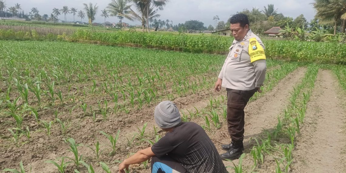 Polres Malang Perkuat Sinergi dengan Petani untuk Jaga Ketahanan Pangan