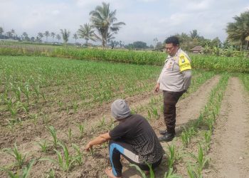 Polres Malang Perkuat Sinergi dengan Petani untuk Jaga Ketahanan Pangan