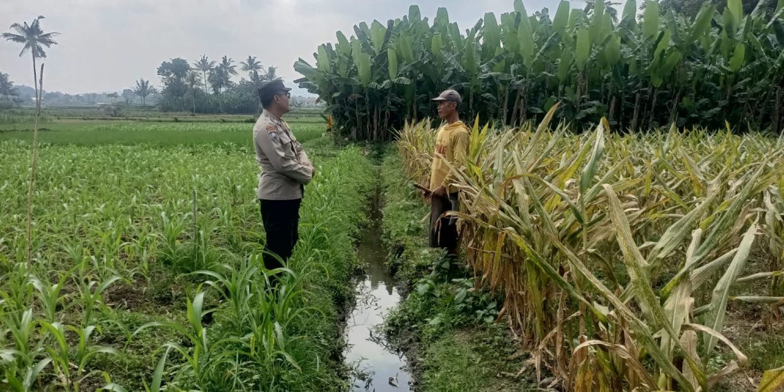 Polisi Dampingi Petani Kelola Lahan, Polres Malang Dukung Asta Cita