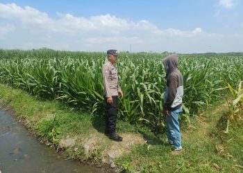 Jaga Pasokan Pangan, Polres Malang Perkuat Sinergi dengan Petani