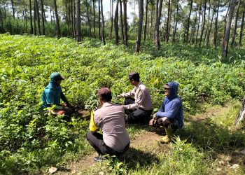 Polres Malang Kawal Pertanian Warga dari Desa hingga Distribusi