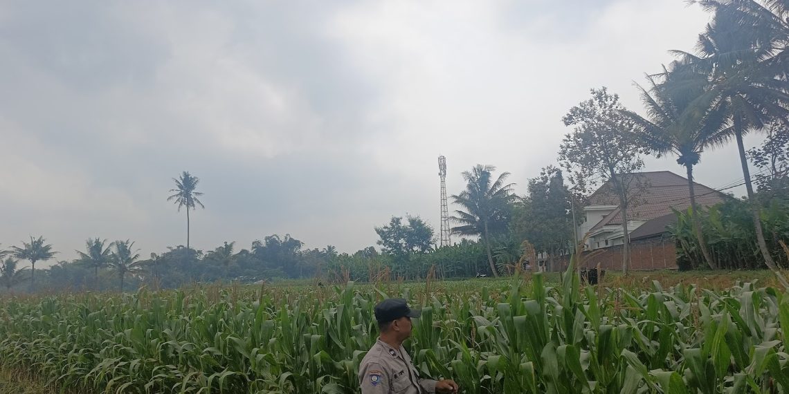 Polisi Rangkul Petani, Perkuat Sinergi Jaga Ketahanan Pangan