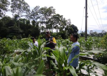 Bhabinkamtibmas Pantau Potensi Pangan di Wilayah Desa
