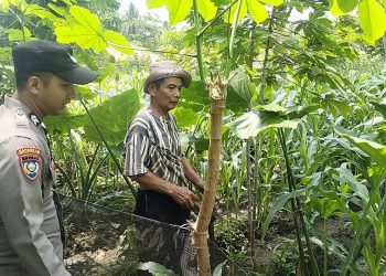 Jaga Ketahanan Pangan, Polres Malang Perkuat Pendampingan Petani