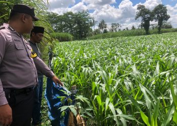 Polres Malang Libatkan Polisi di Desa untuk Dukung Ketahanan Pangan