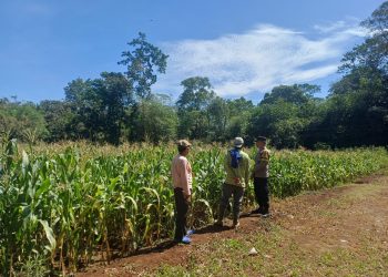 Dari Lahan hingga Hasil Tani, Polisi Ikut Kawal Rantai Pangan di Malang