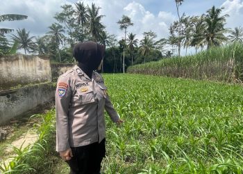 Hasil Pertanian hingga Distribusi Jadi Perhatian Polres Malang