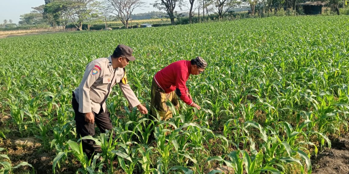 Polres Malang Ajak Warga Terlibat dalam Penguatan Ketahanan Pangan