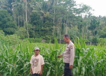 Polres Malang Dorong Koordinasi Hasil Tani, Dukung Pasokan Pangan