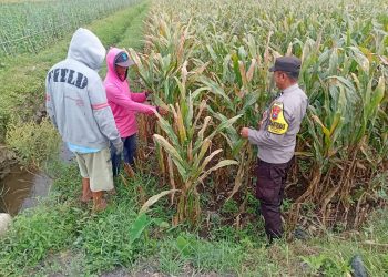Polres Malang Petakan Potensi Pangan Desa, Dukung Program Asta Cita