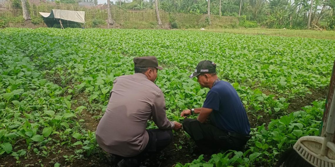 Polres Malang Rangkul Masyarakat untuk Perkuat Ketahanan Pangan