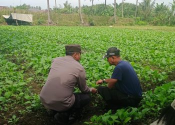 Polres Malang Rangkul Masyarakat untuk Perkuat Ketahanan Pangan