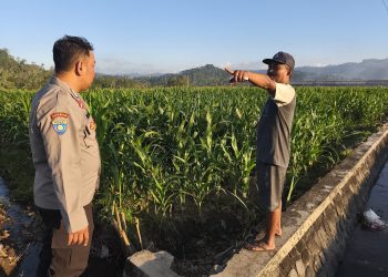 Polres Malang Dukung Kelancaran Hasil Panen hingga ke Masyarakat